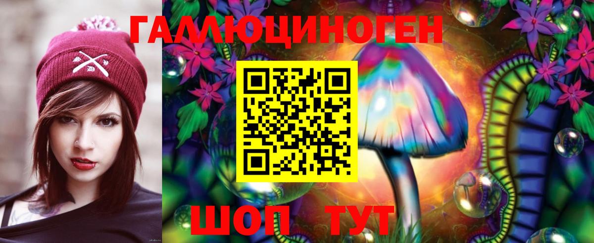 Назрань  Галлюциногенные грибы Cubensis  Вход с VPN 
